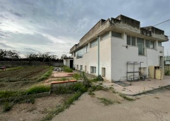 Foto 30 - Agricultural land Via Lima, Maddaloni - photo 30