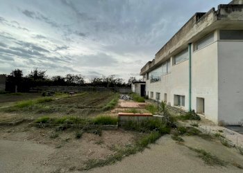 Foto 31 - Agricultural land Via Lima, Maddaloni - photo 31