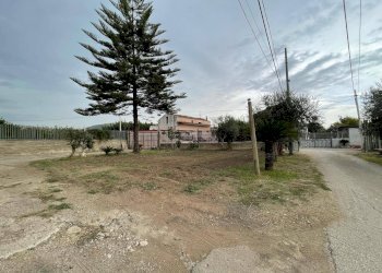 Foto 39 - Agricultural land Via Lima, Maddaloni - photo 39