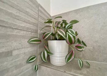 Altro - Quadrilocale via Giuseppe Zanchetta, Castelnuovo Scrivia - foto 29