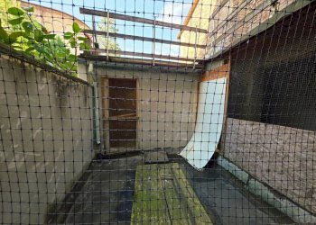 Terrazzo - Independent house strada Benedetto Cairoli, SN, Parma - photo 9