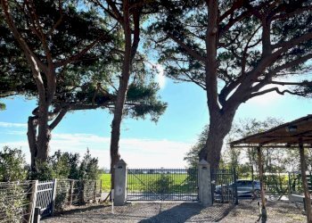 Terreno - Appartamento strada Origlio, Capalbio - foto 39