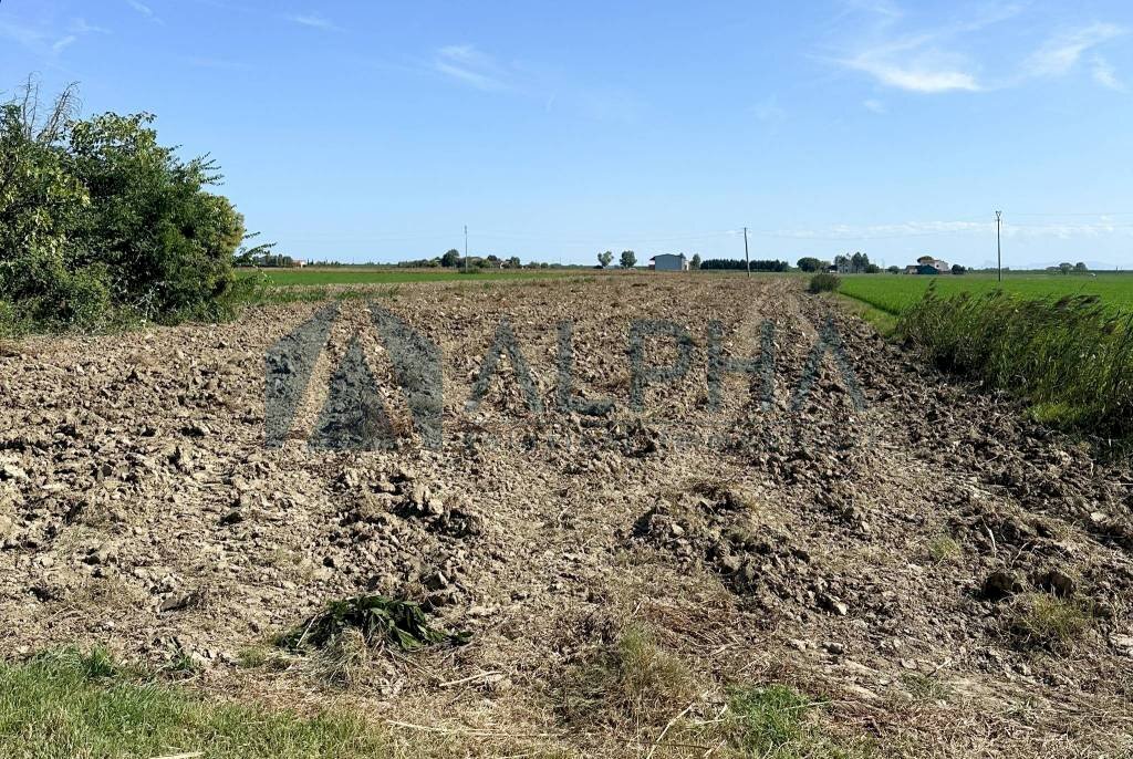 Terreno - Building land via Ezio Morigi, Ravenna (neighborhood Fosso Ghiaia) - photo 2