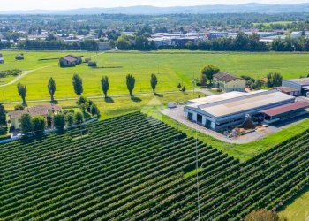 Villa Str. della Fornace, Cavriago - foto 5