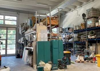 Capannone Modena - foto 33