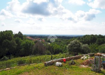 Casa indipendente Frazione Forzani, Masserano - foto 4