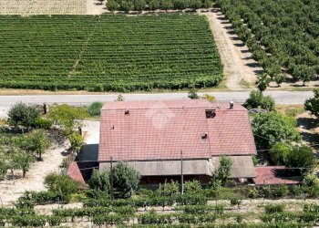 Independent house Località Altavilla, Alba - photo 12