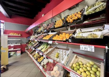 Commercial Activity Cavallermaggiore - photo 10