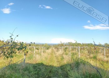 Casa indipendente Via Assarti 27, Barge - foto 16