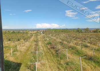 Casa indipendente Via Assarti 27, Barge - foto 40