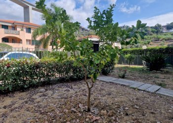 Foto 24 - Trilocale Via Pasteur, Bordighera - foto 24