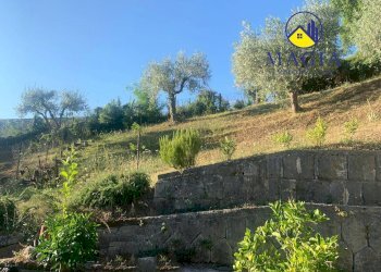 Foto 22 - Villa Ascoli Piceno - foto 22