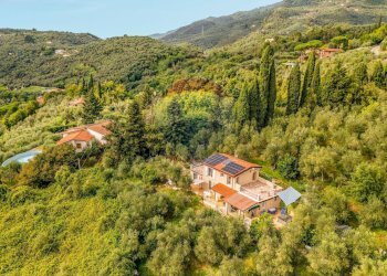 Vista delle montagne - Casa indipendente via balza fiorita
 
641, Camaiore - foto 9