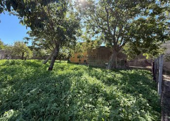 Foto 1 - Agricultural land Via Tuori di Maio, Roccarainola - photo 1