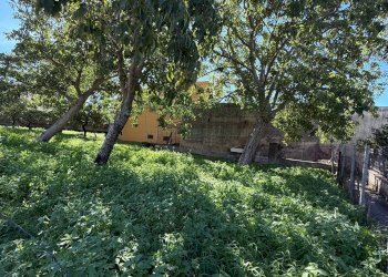 Foto 3 - Agricultural land Via Tuori di Maio, Roccarainola - photo 3