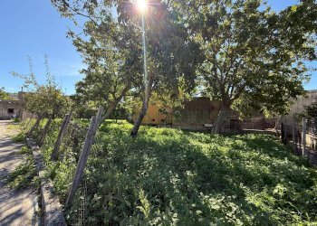 Foto 4 - Agricultural land Via Tuori di Maio, Roccarainola - photo 4