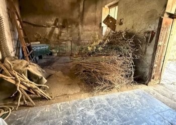 Foto 5 - Agricultural land Via Tuori di Maio, Roccarainola - photo 5