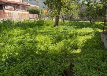 Foto 8 - Agricultural land Via Tuori di Maio, Roccarainola - photo 8