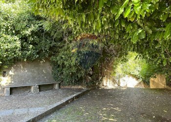 Giardino - Casa indipendente Piazza Michele Pietravalle
 
7, Cantalupo nel Sannio - foto 15