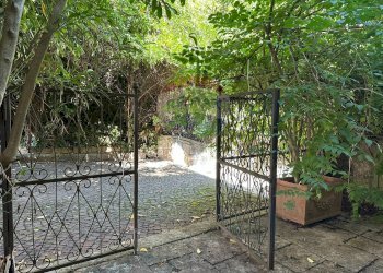 Giardino - Casa indipendente Piazza Michele Pietravalle
 
7, Cantalupo nel Sannio - foto 17