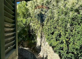 Giardino - Casa indipendente Piazza Michele Pietravalle
 
7, Cantalupo nel Sannio - foto 59