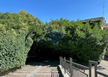 Giardino - Casa indipendente Piazza Michele Pietravalle
 
7, Cantalupo nel Sannio - foto 143