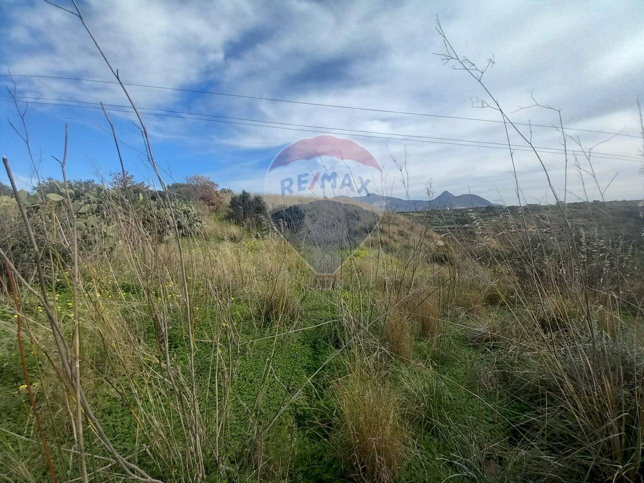 Vista delle montagne - Terreno agricolo Contrada Mottola
 
snc, Partinico - foto 2