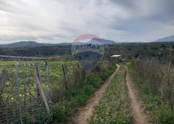 Vista delle montagne - Terreno agricolo Contrada Mottola
 
snc, Partinico - foto 14