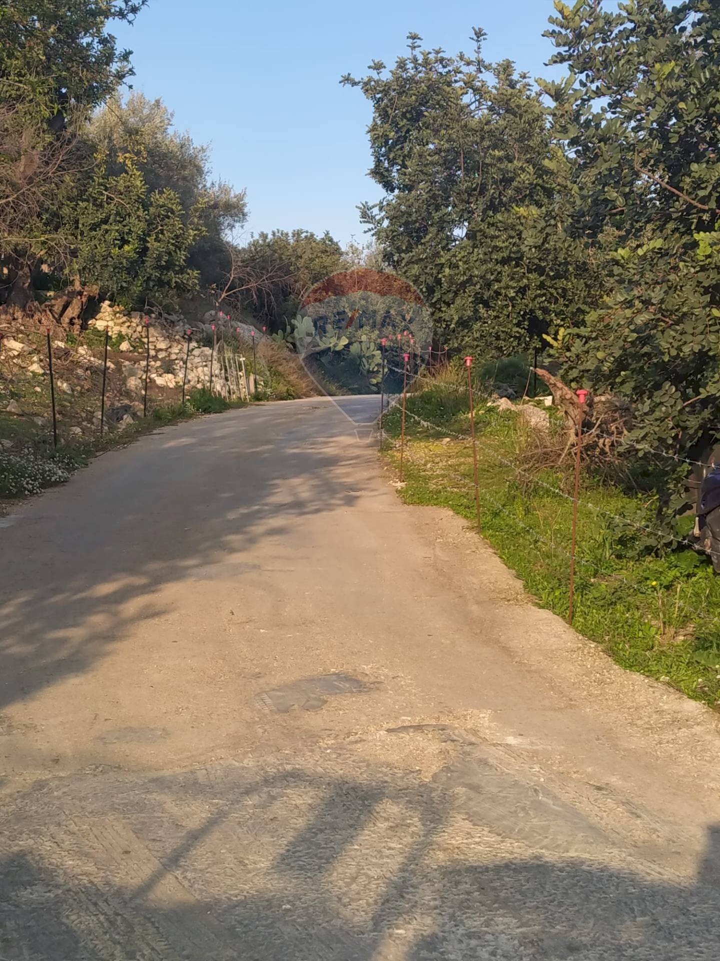 Giardino - Terreno agricolo via vanella 20, Modica - foto 3