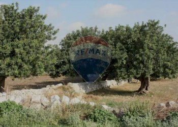 Giardino - Terreno agricolo via vanella 20, Modica - foto 5