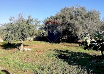 Giardino - Terreno agricolo via vanella 20, Modica - foto 6