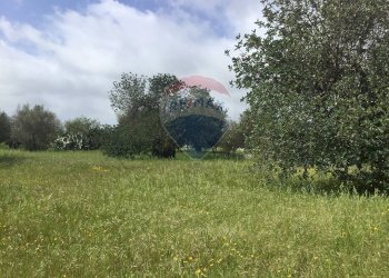 Giardino - Terreno agricolo via vanella 20, Modica - foto 8