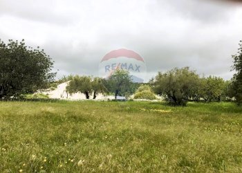 Giardino - Terreno agricolo via vanella 20, Modica - foto 10