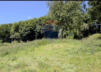 Giardino - Terreno agricolo via vanella 20, Modica - foto 12