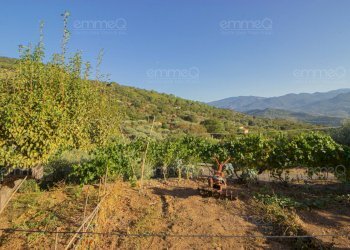 Foto 26 - Appartamento C.da Santa Maria Carrara
 
snc, Pollina - foto 26