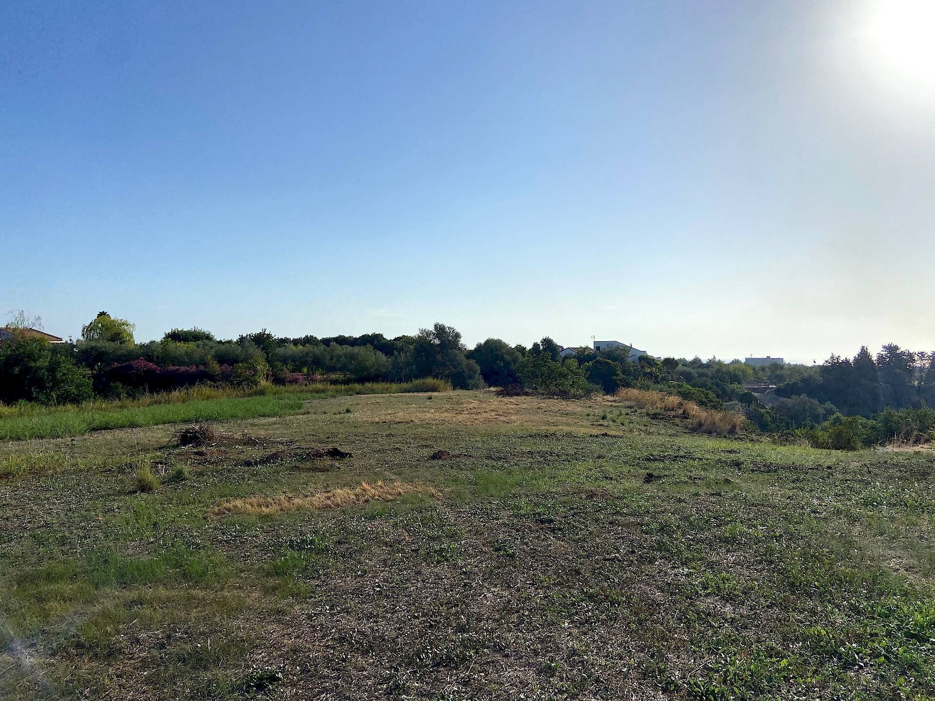 Foto 1 - Terreno agricolo Via Puzzi, Avola - foto 1