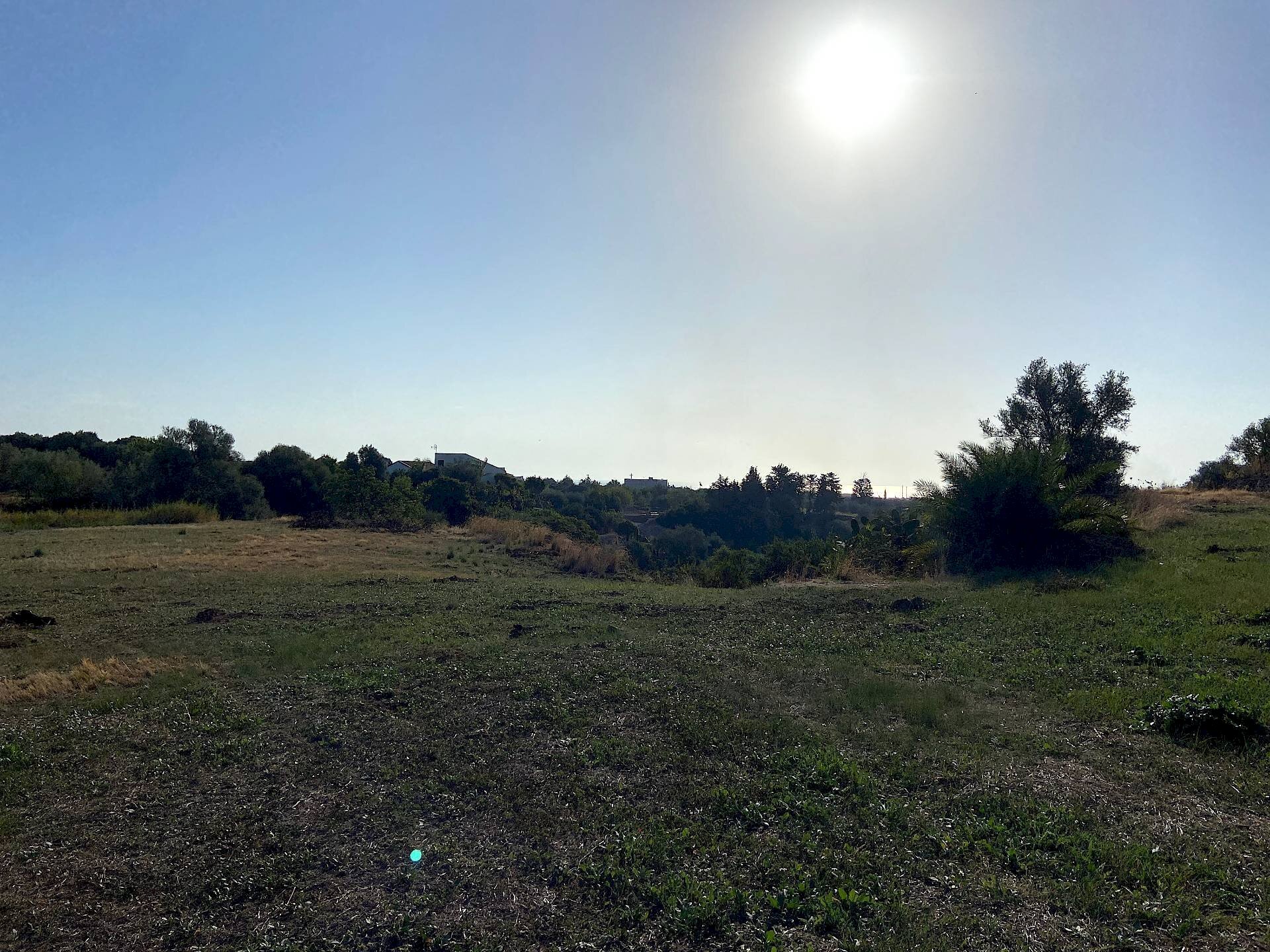 Foto 2 - Terreno agricolo Via Puzzi, Avola - foto 2