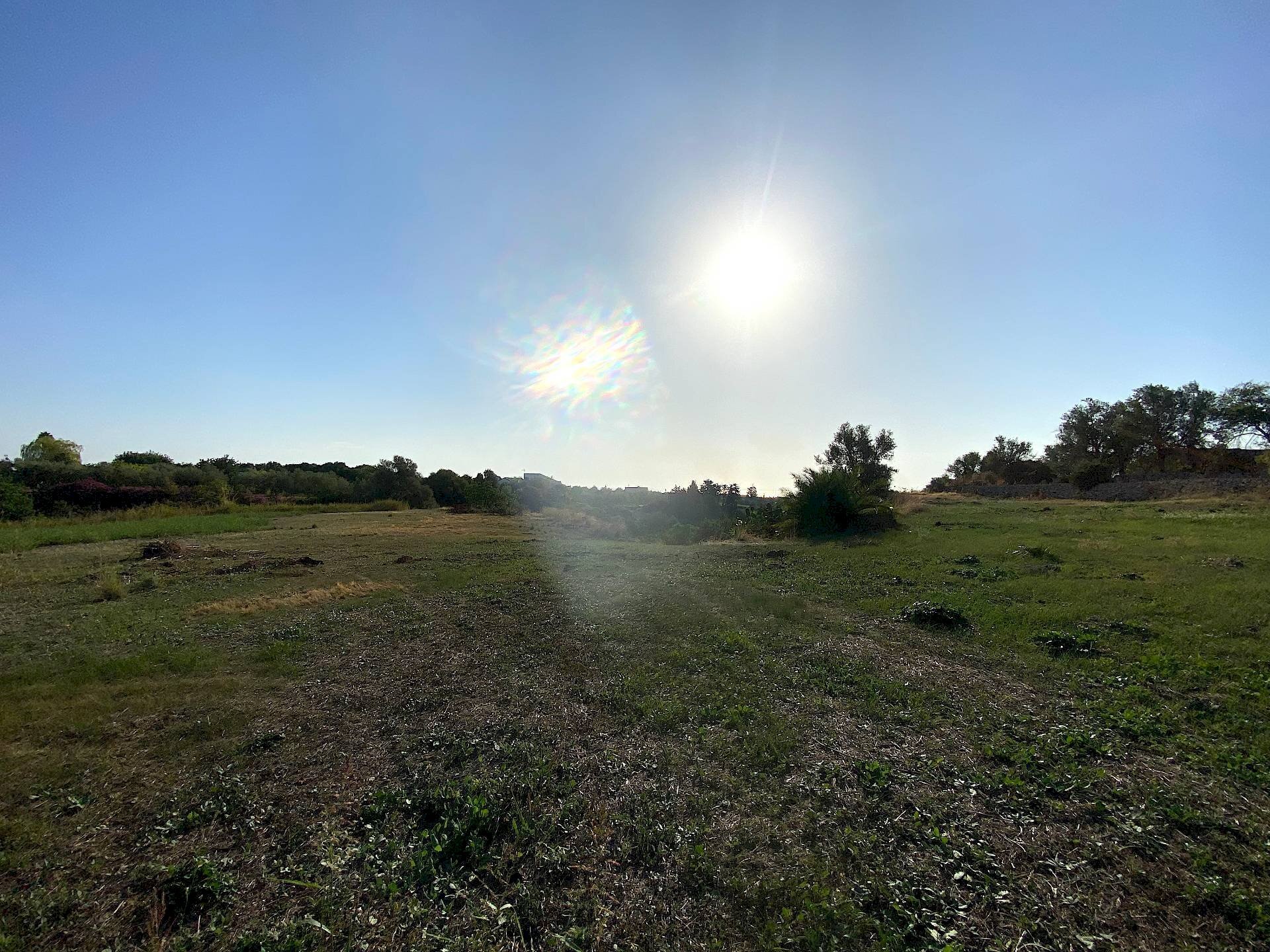 Foto 3 - Terreno agricolo Via Puzzi, Avola - foto 3