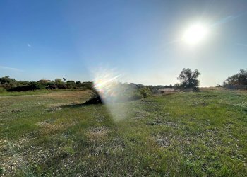 Foto 4 - Terreno agricolo Via Puzzi, Avola - foto 4