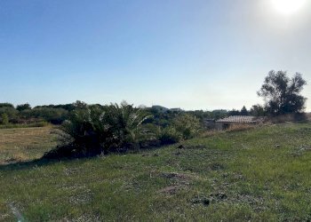 Foto 6 - Terreno agricolo Via Puzzi, Avola - foto 6