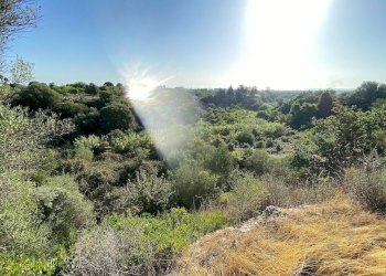 Foto 9 - Terreno agricolo Via Puzzi, Avola - foto 9