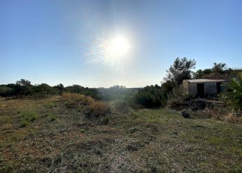 Foto 13 - Terreno agricolo Via Puzzi, Avola - foto 13