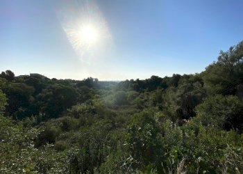 Foto 14 - Terreno agricolo Via Puzzi, Avola - foto 14