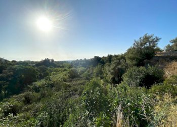 Foto 16 - Terreno agricolo Via Puzzi, Avola - foto 16