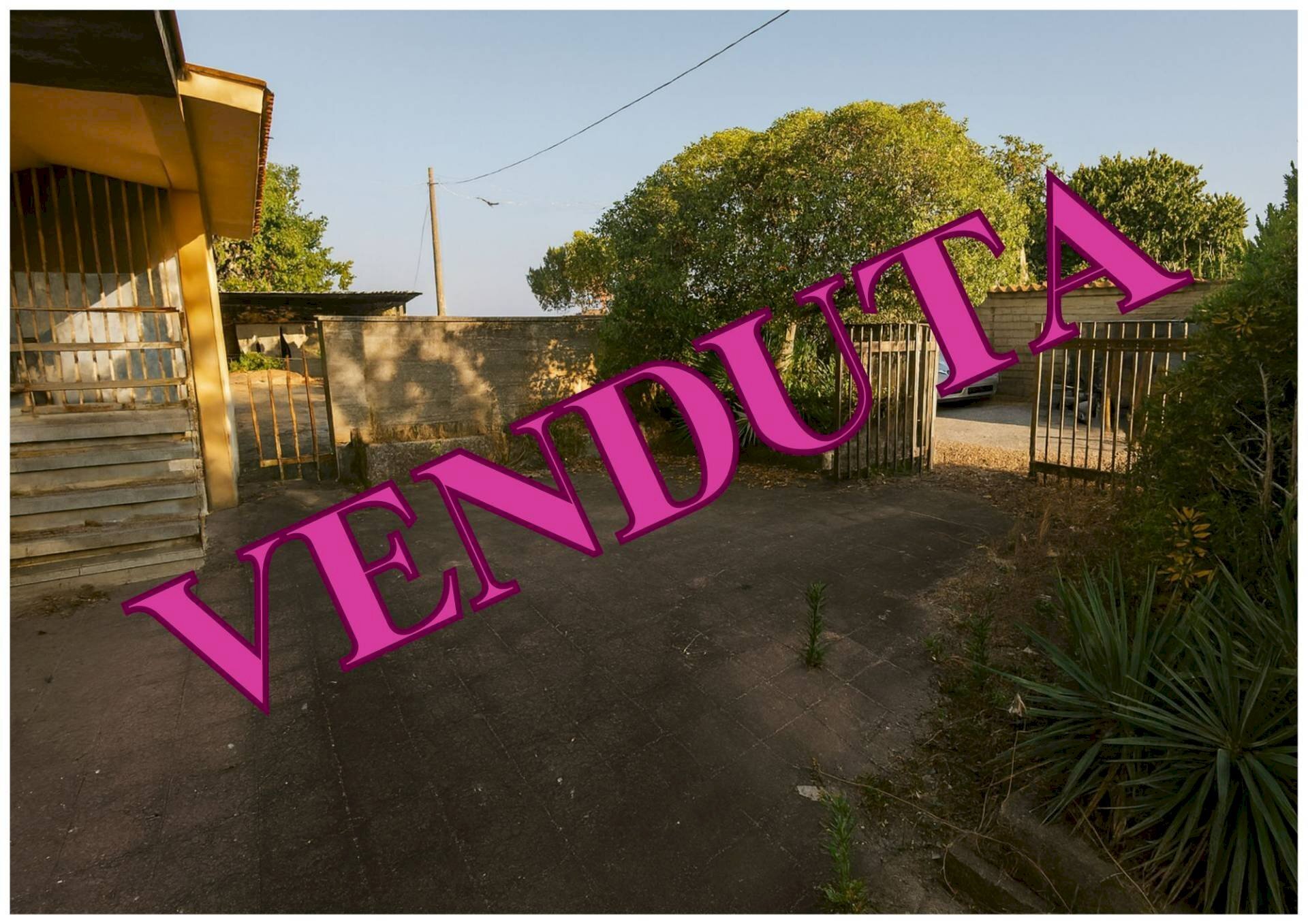 Foto 1 - Quadrilocale Via Bellegra
 
10, Nettuno - foto 1