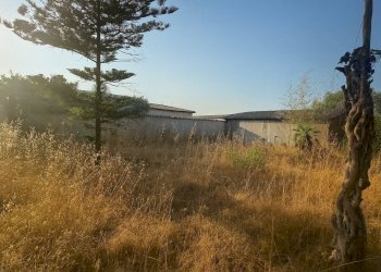 Foto 6 - Quadrilocale Via Bellegra
 
10, Nettuno - foto 6