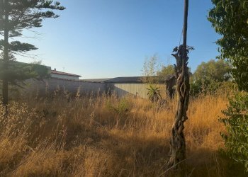 Foto 7 - Quadrilocale Via Bellegra
 
10, Nettuno - foto 7