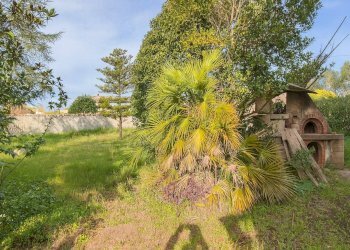 Foto 24 - Quadrilocale Via Bellegra
 
10, Nettuno - foto 24