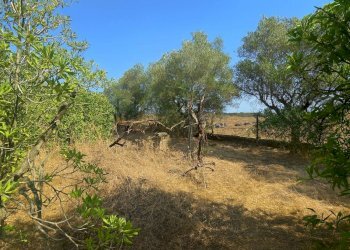 Foto 50 - Quadrilocale Via Bellegra
 
10, Nettuno - foto 50