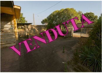 Foto 1 - Quadrilocale Via Bellegra
 
10, Nettuno - foto 1